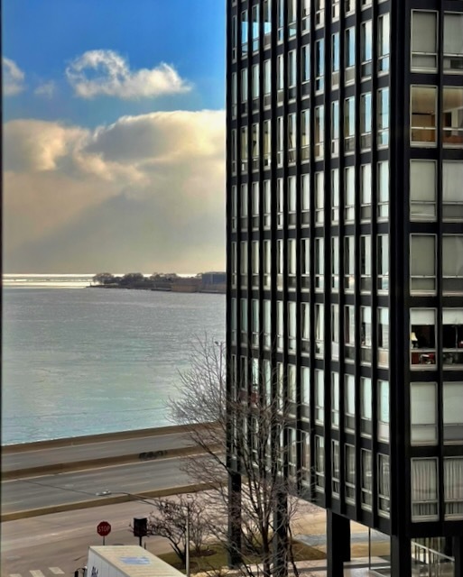 880 N Lake Shore Drive 12gh Property Photo 43