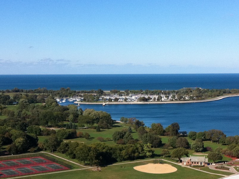 3600 N Lake Shore Drive 2220 Property Photo 3