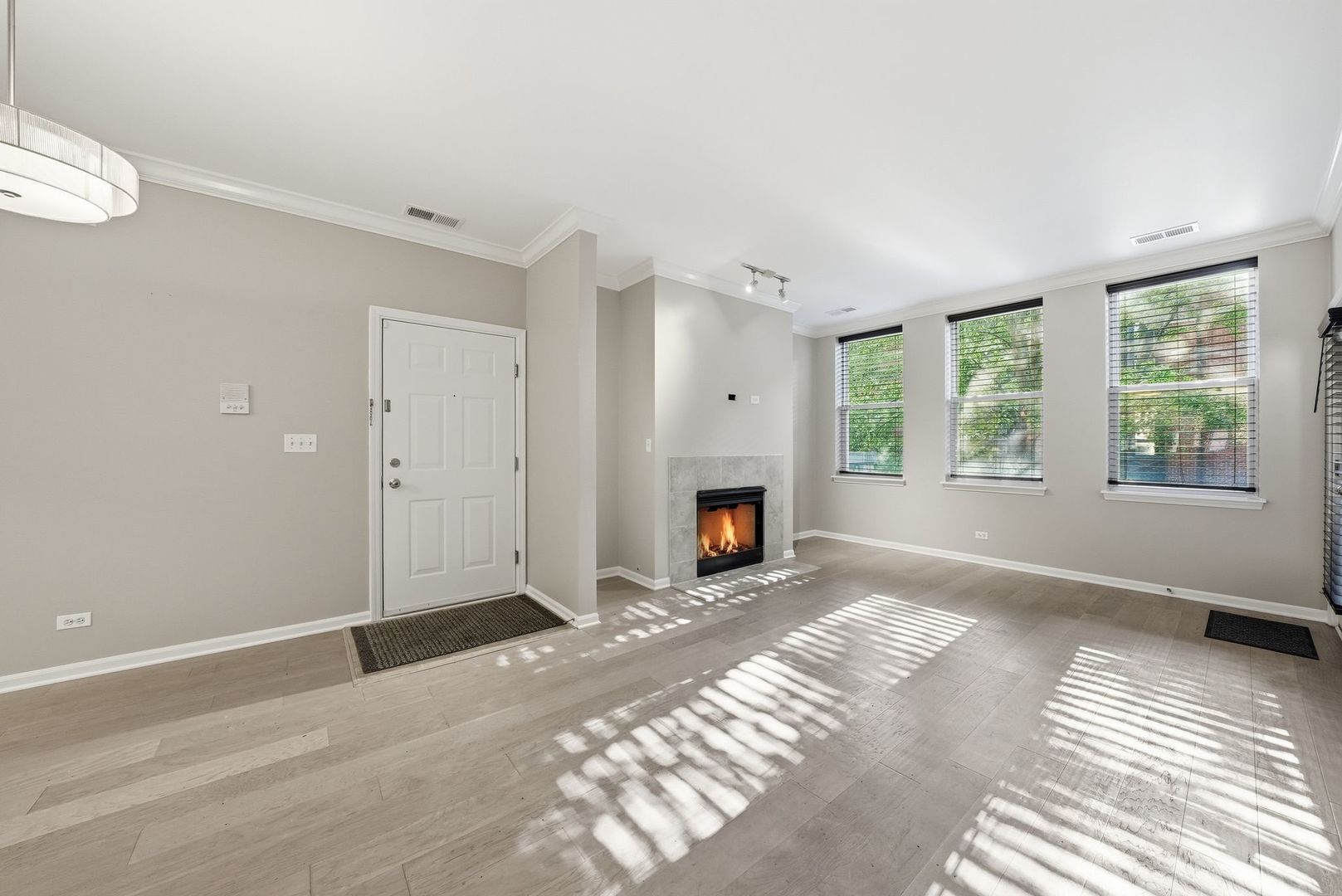 1225 N Orleans Street 602 Property Photo 3