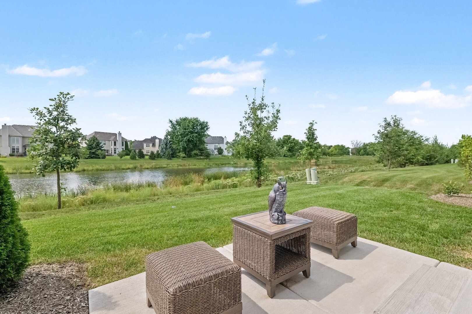 4414 Chelsea Manor Circle Property Photo 24