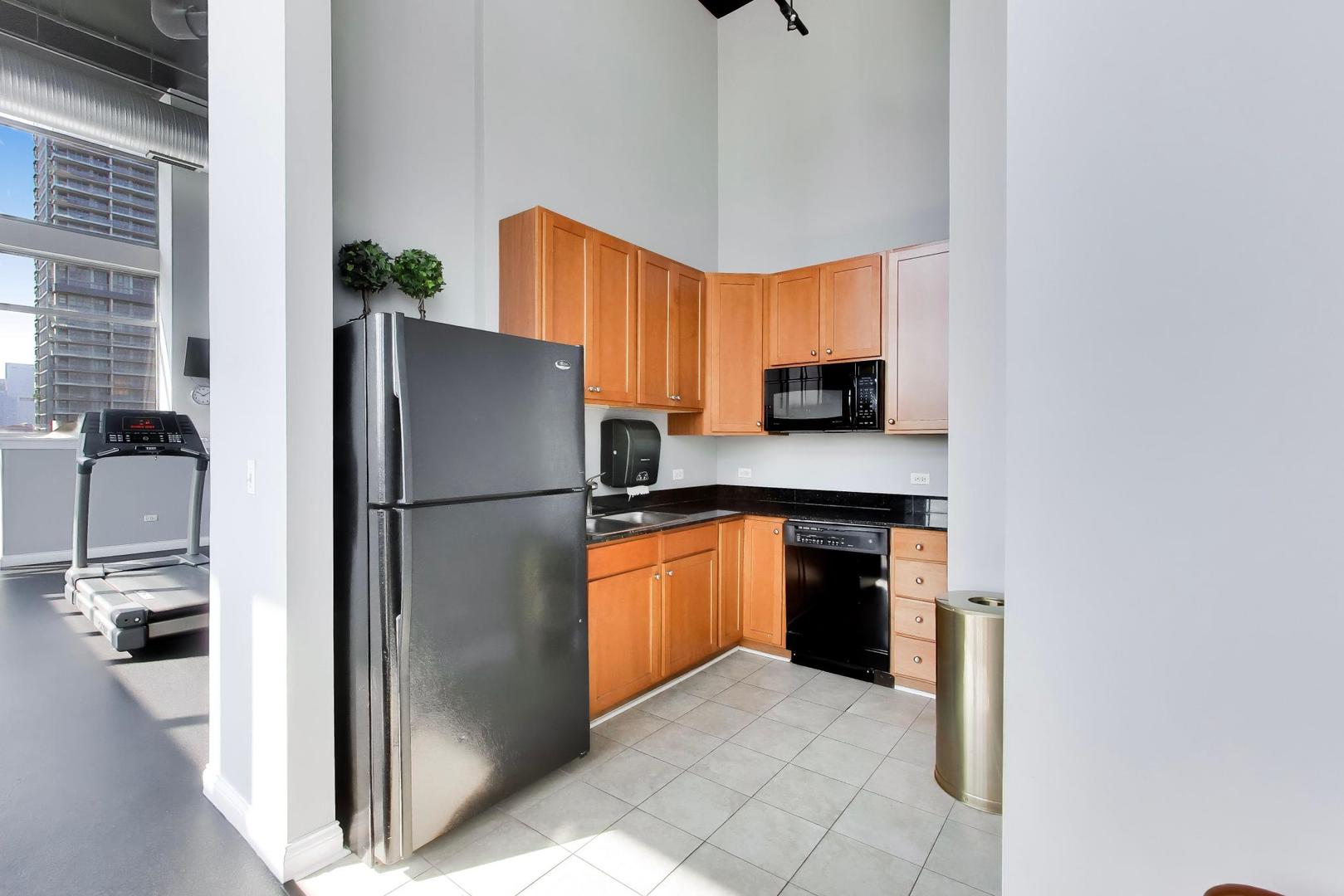 230 W Division Street 1107 Property Photo 28