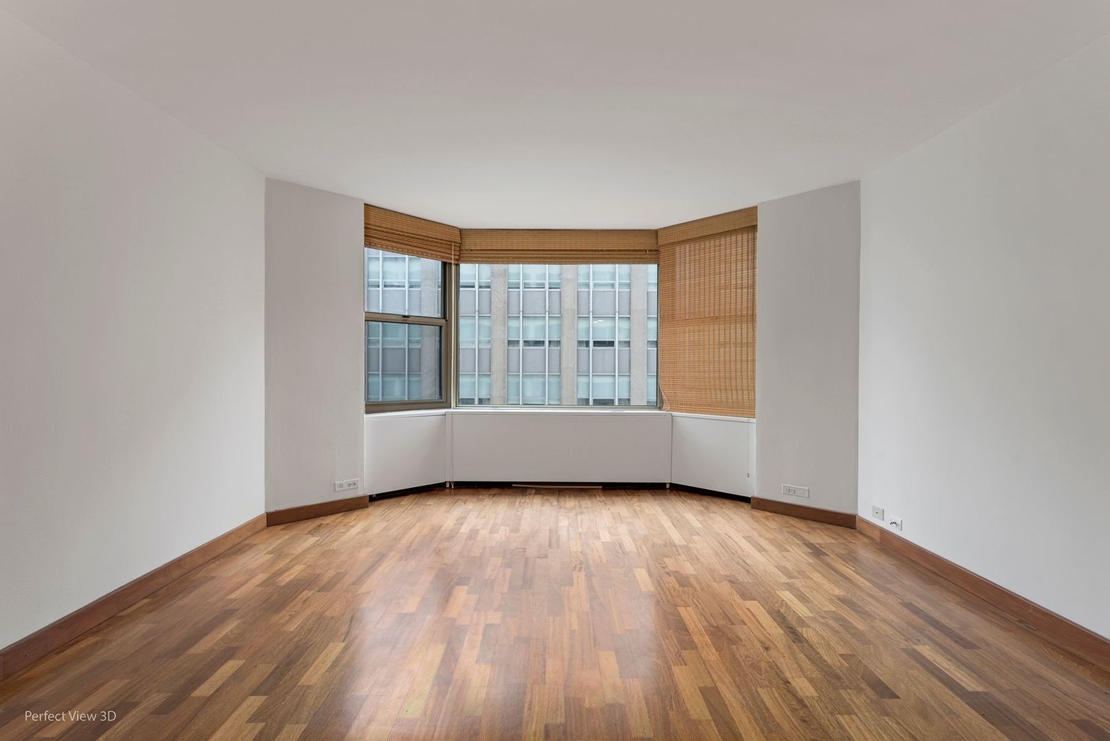 535 N Michigan Avenue 2503 Property Photo 5