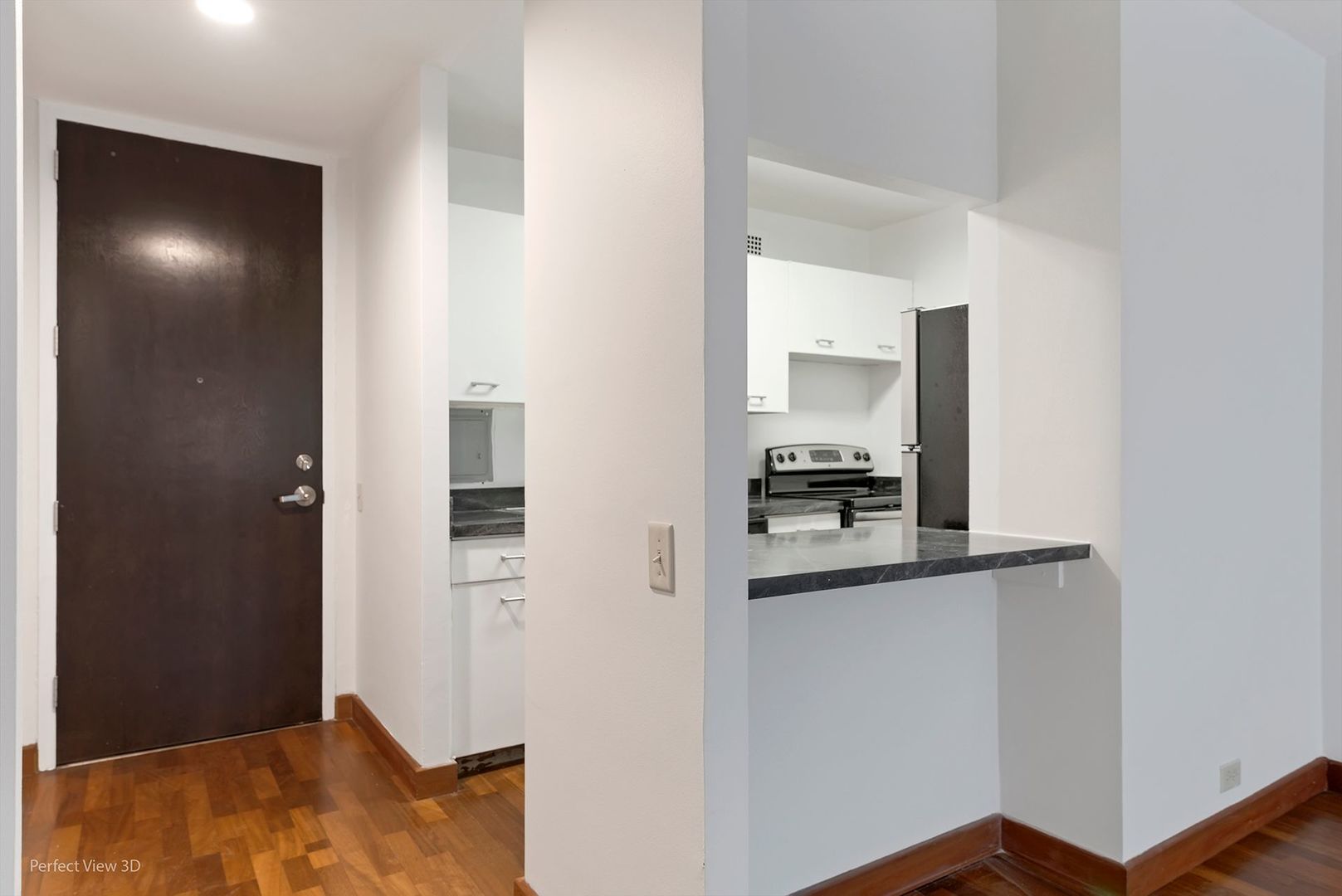 535 N Michigan Avenue 2503 Property Photo 8