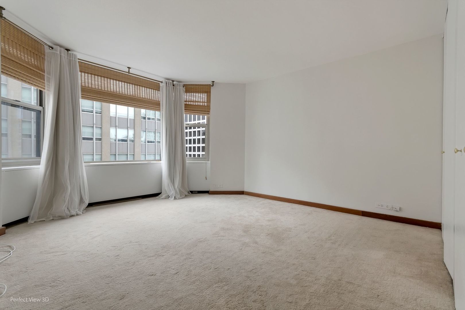 535 N Michigan Avenue 2503 Property Photo 12