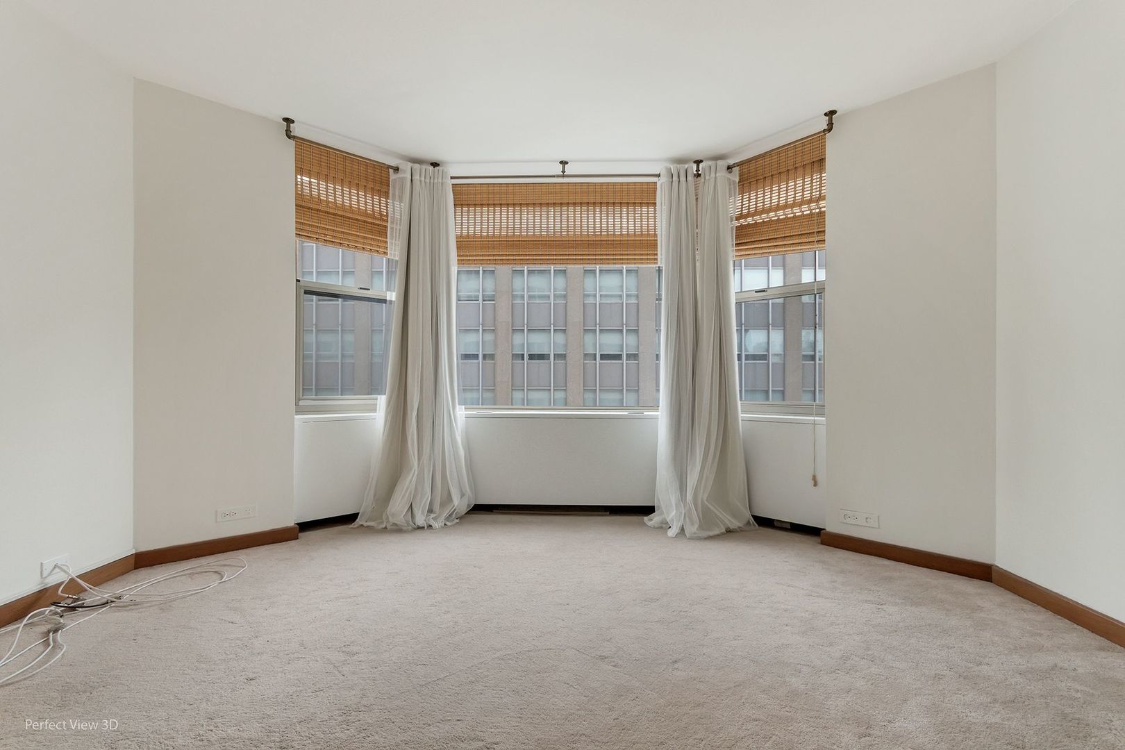 535 N Michigan Avenue 2503 Property Photo 13