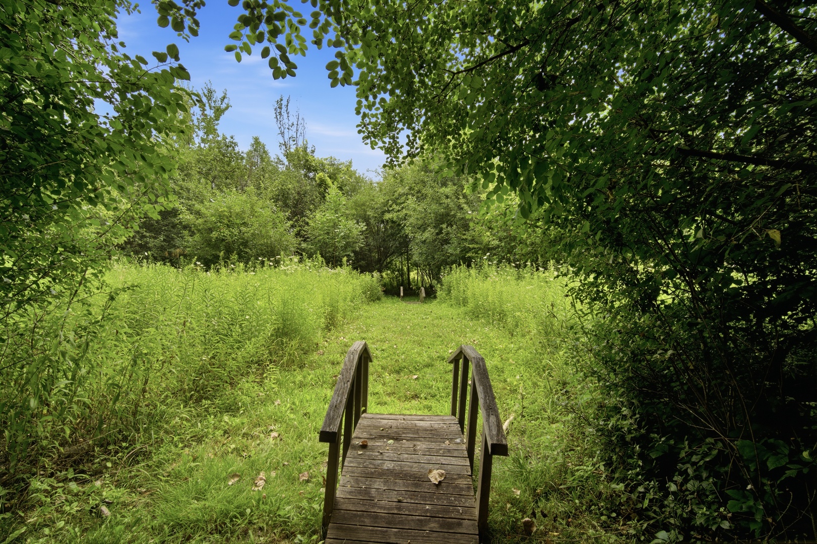 1630 Ridge Road Property Photo 44