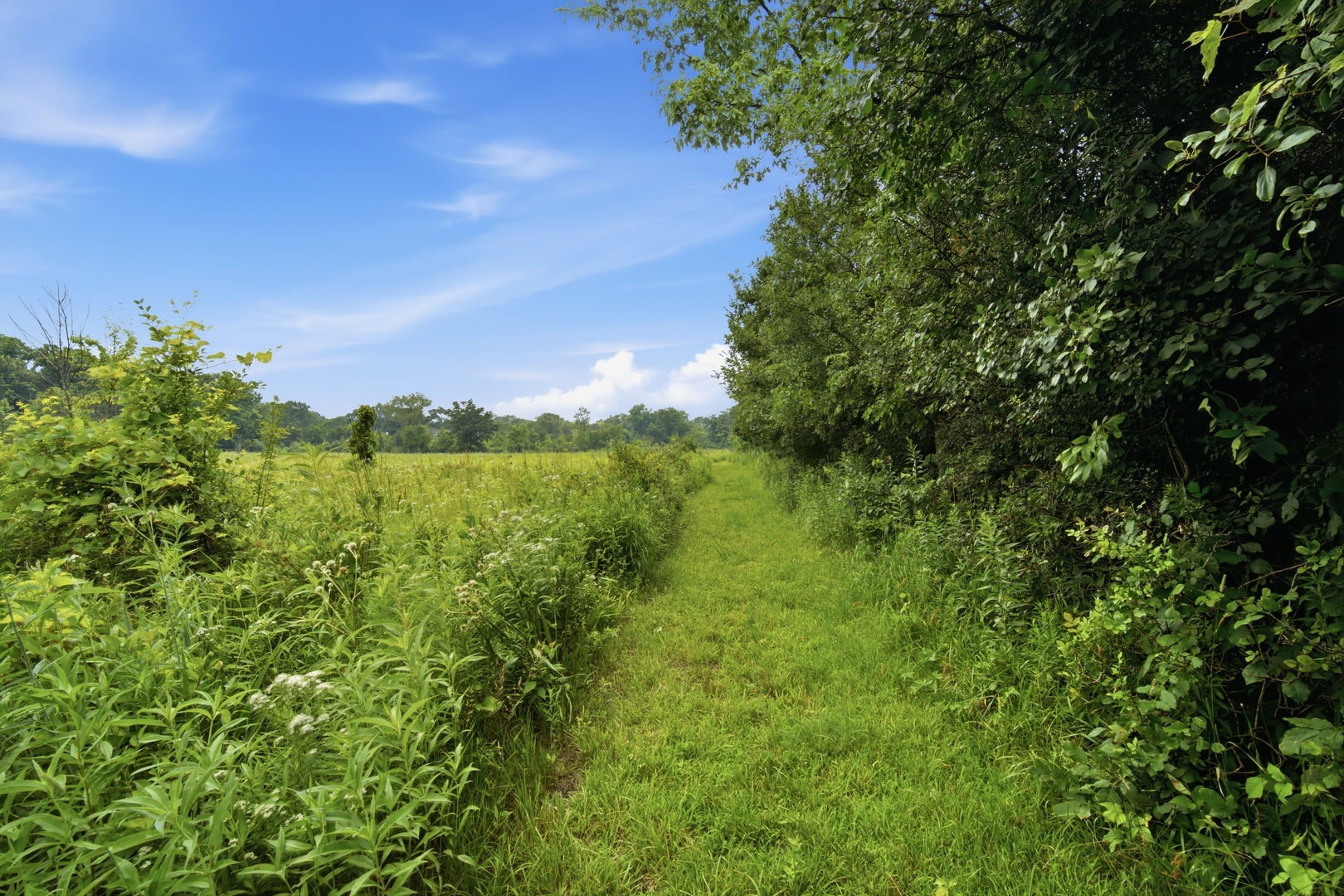1630 Ridge Road Property Photo 45