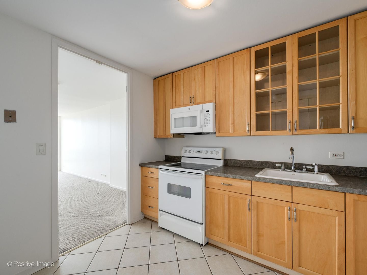 1660 N La Salle Drive 2809 Property Photo 13