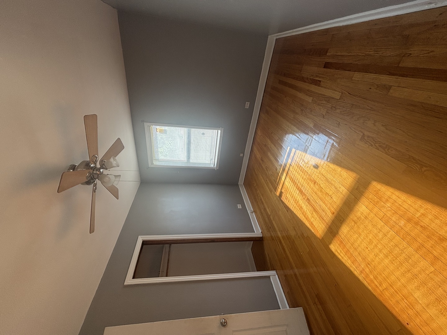 214 22nd Avenue Property Photo 5