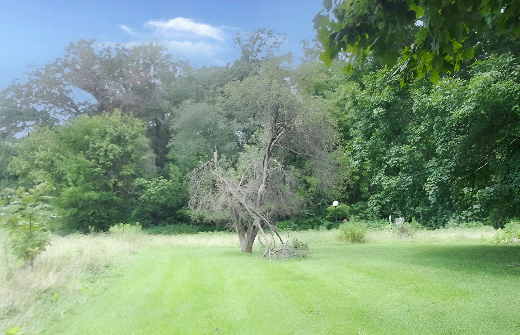 6272 Old Dam Road Property Photo 3