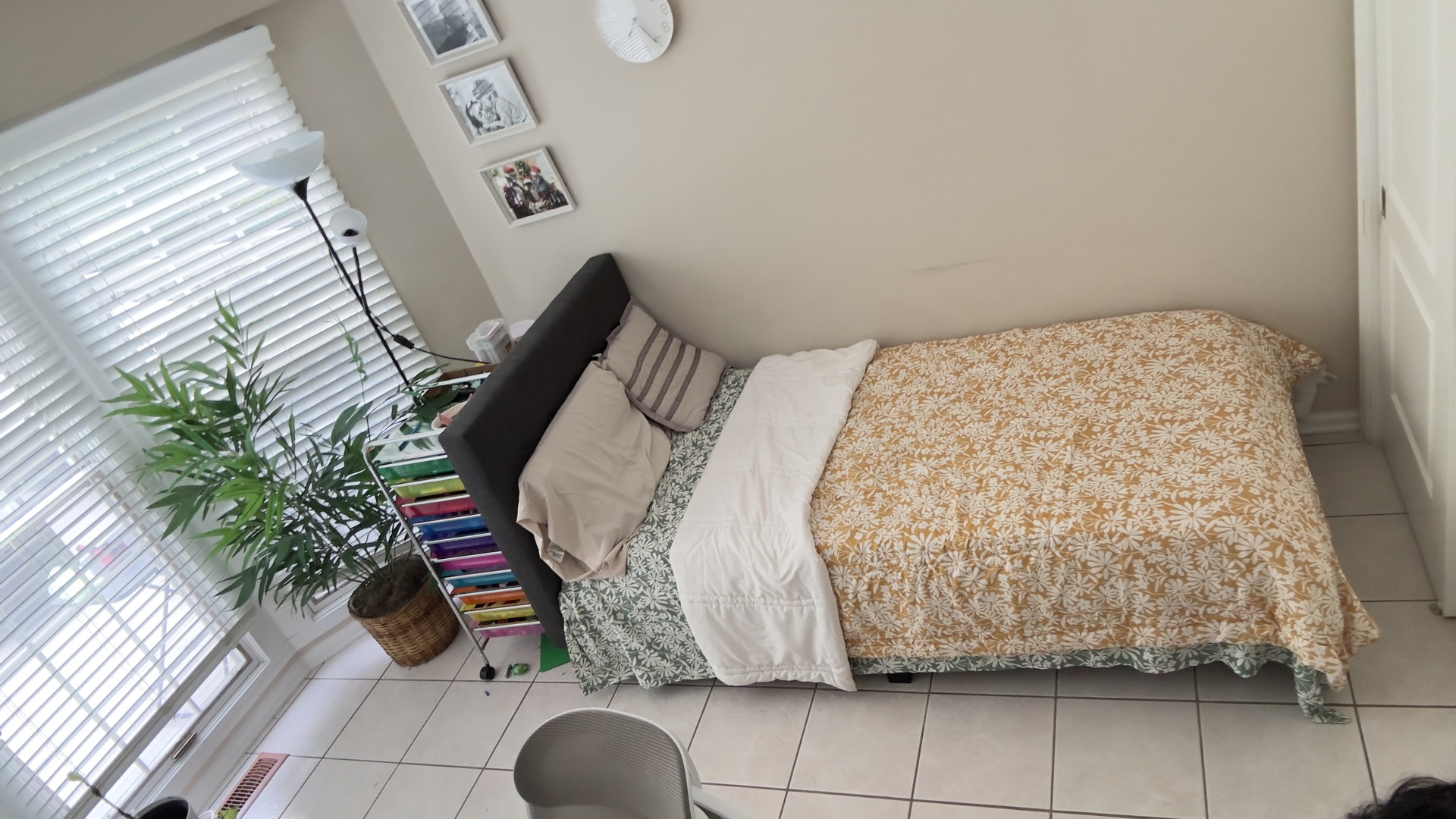 714 Alsace Circle Property Photo 17