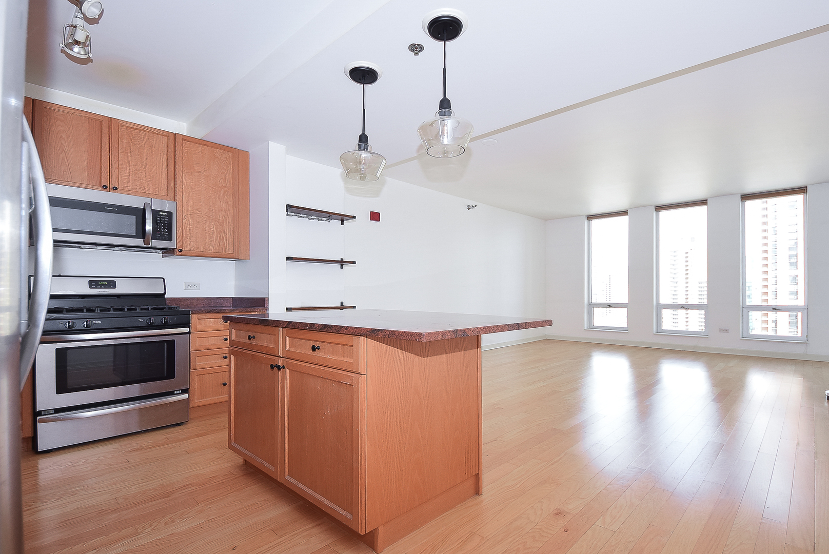 1250 S Michigan Avenue 2205 Property Photo 2