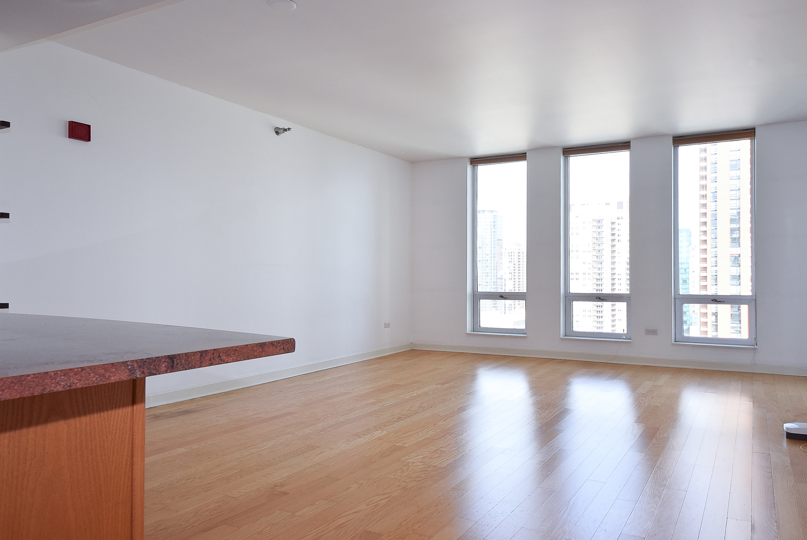 1250 S Michigan Avenue 2205 Property Photo 3