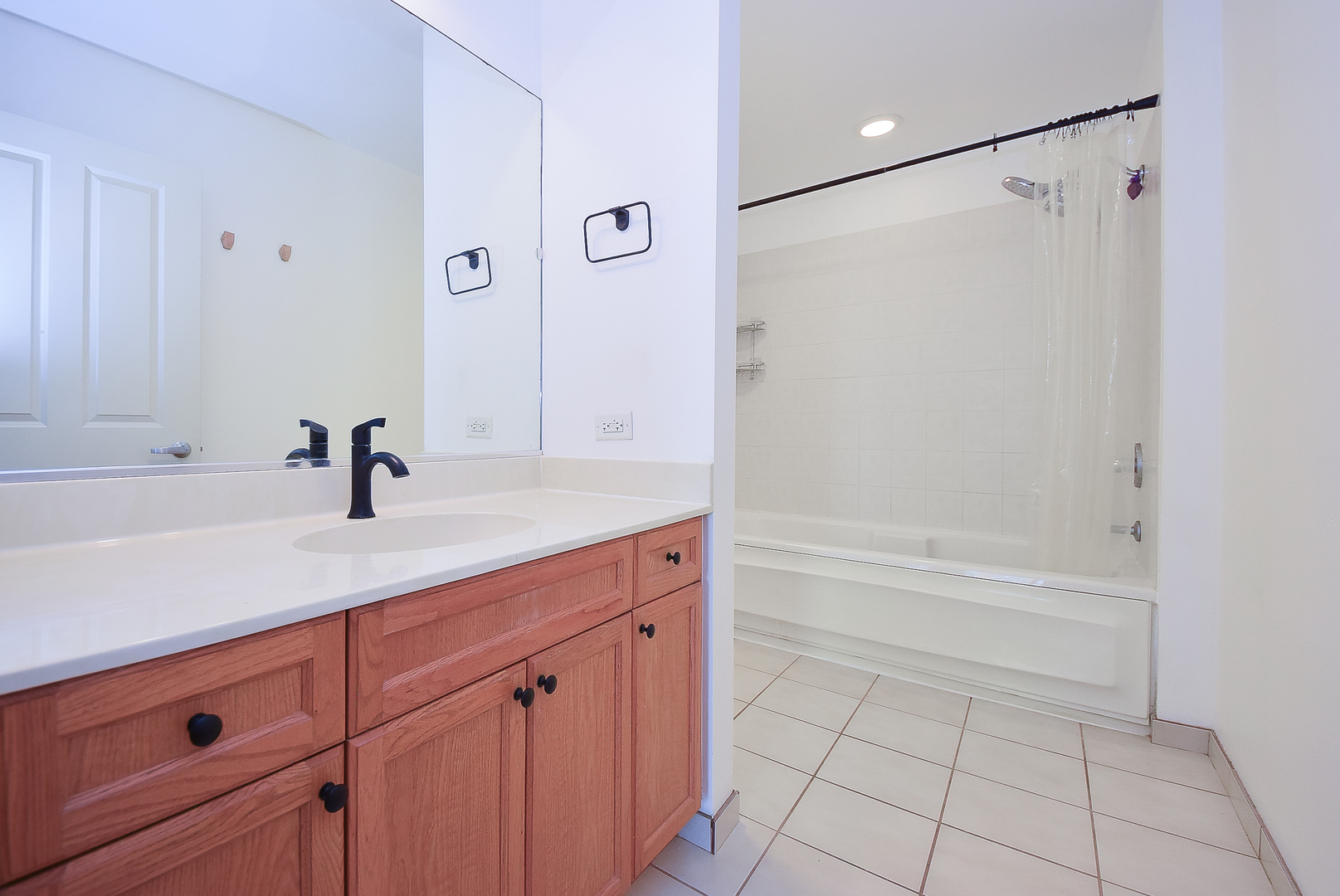 1250 S Michigan Avenue 2205 Property Photo 8