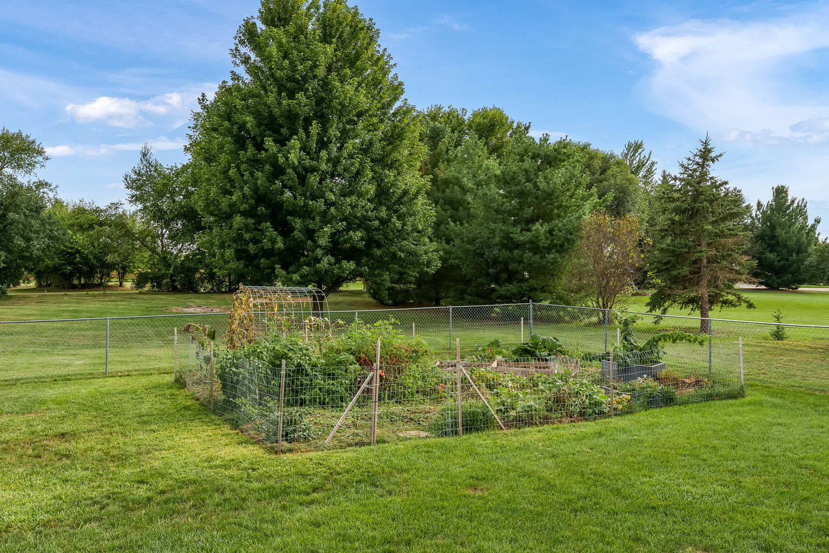 6645 Queenanns Way Property Photo 52