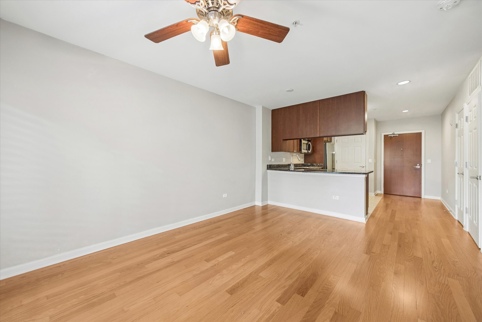 255 E Liberty Drive 203 Property Photo 6