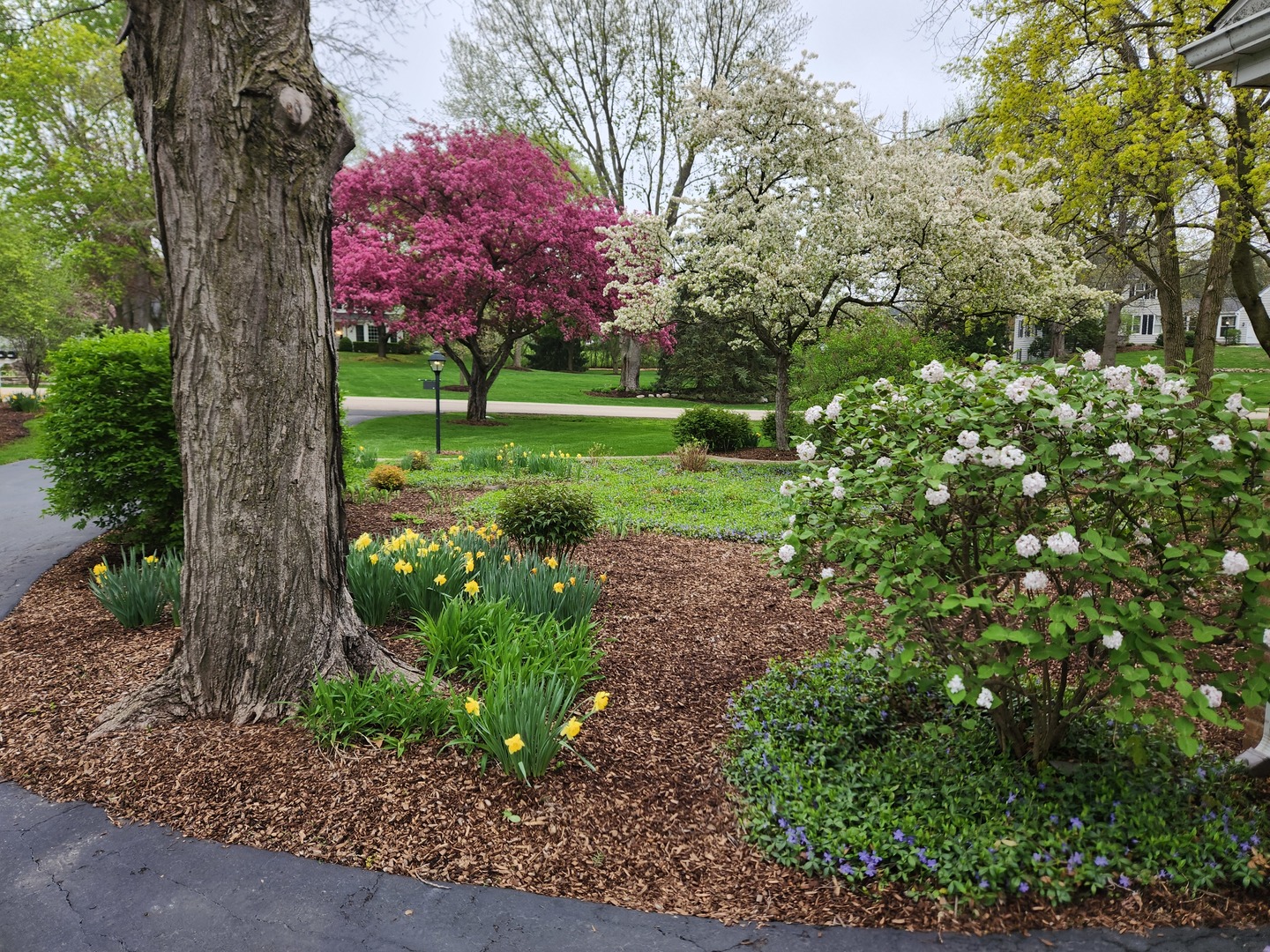 106 Carriage Road Property Photo 61
