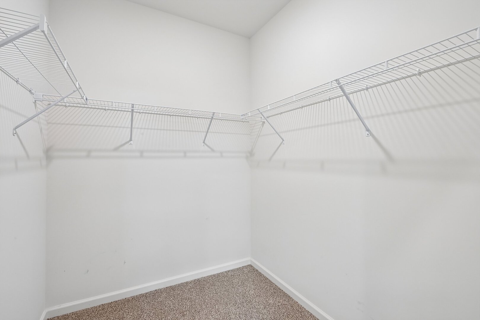 1294 Wild Tulip Circle Property Photo 13