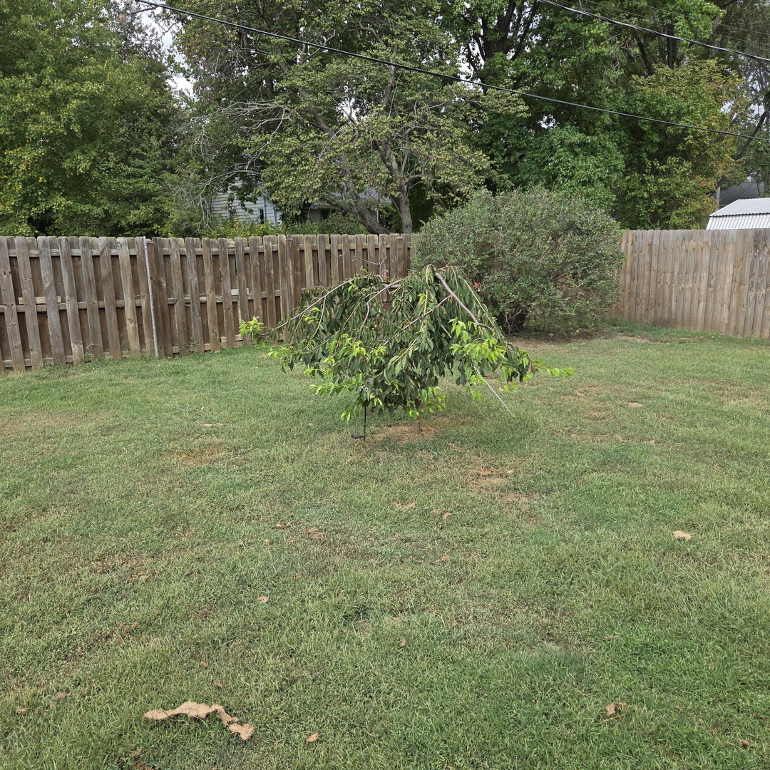 907 Lickliter Street Property Photo 8