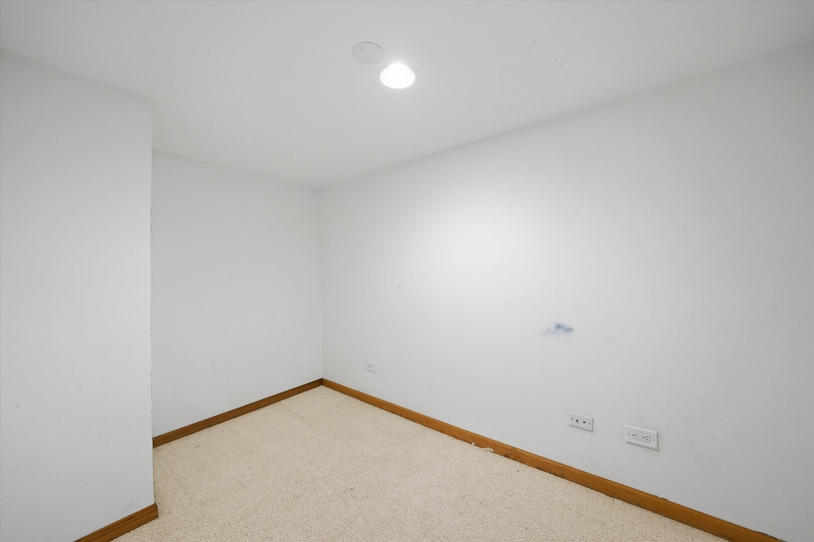 11242 Pin Oak Circle Property Photo 20