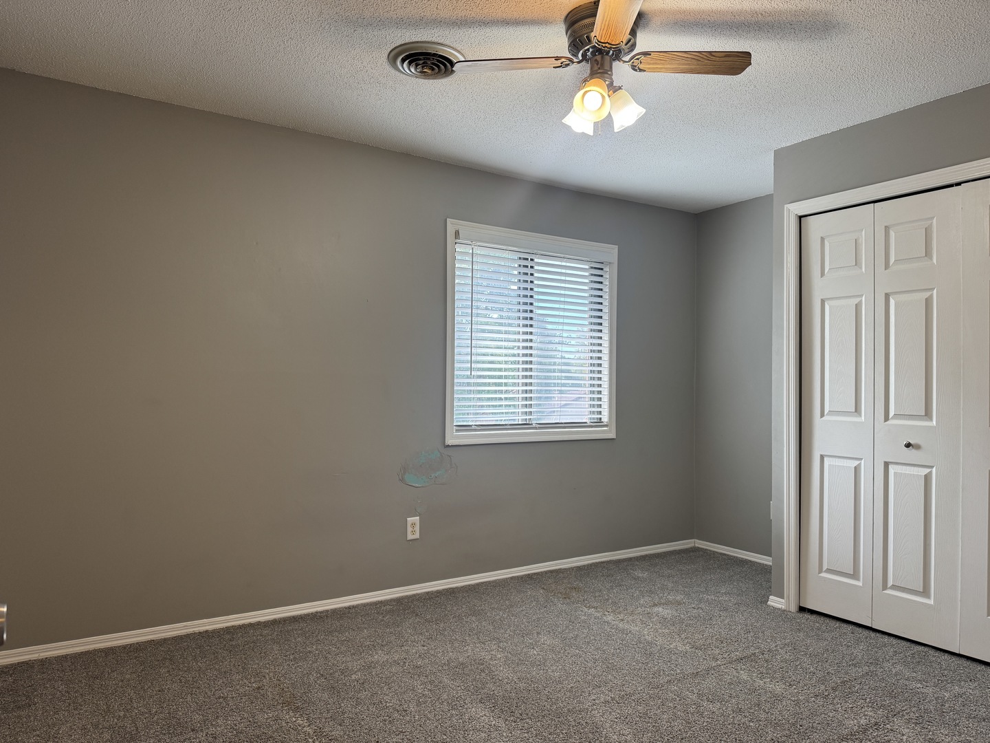 1204 Dean Drive 5 Property Photo 15