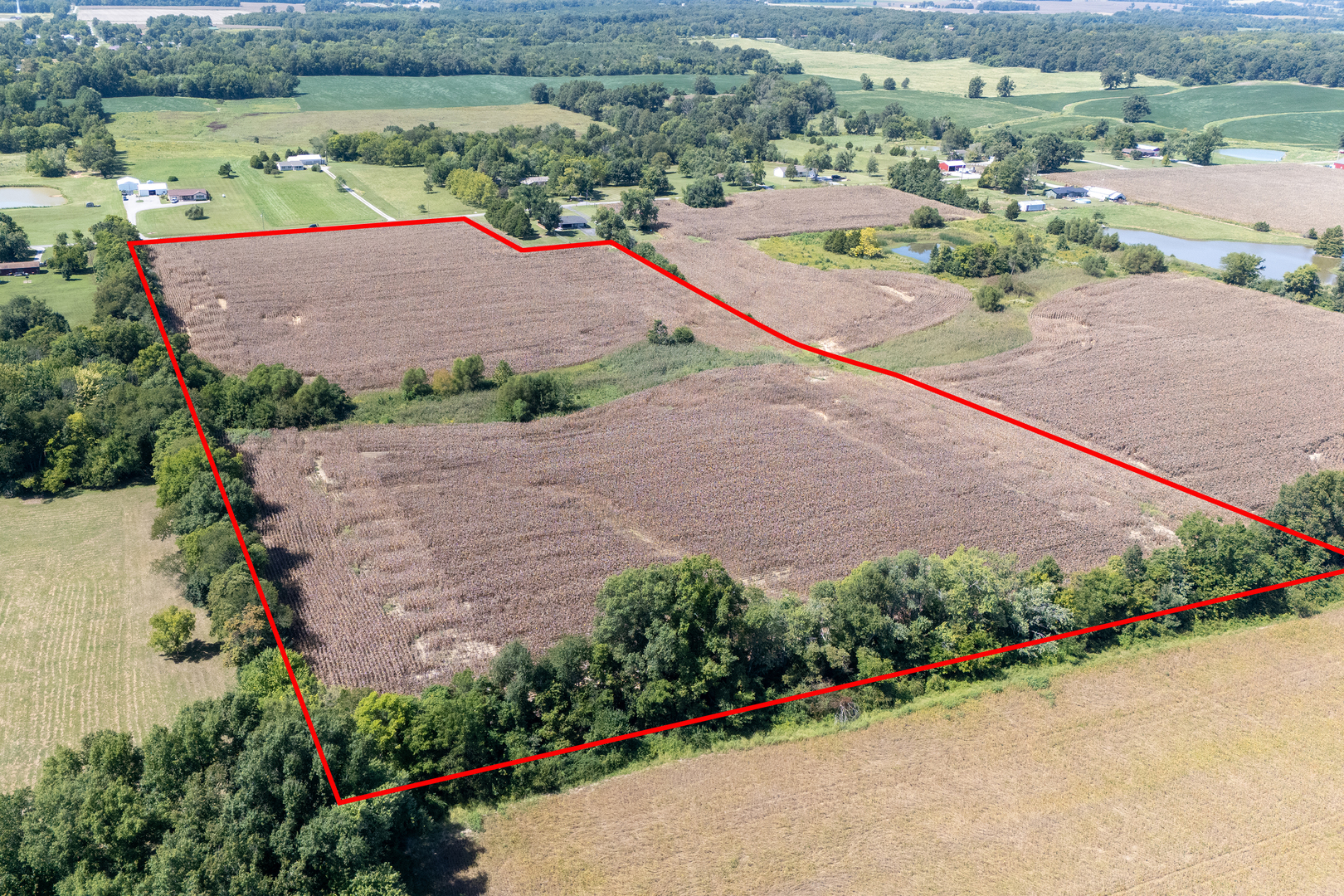 000 Coffee Road Property Photo 3