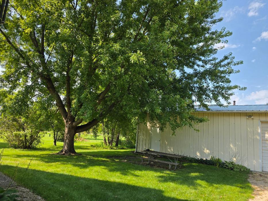 244 Maple Street Property Photo 16