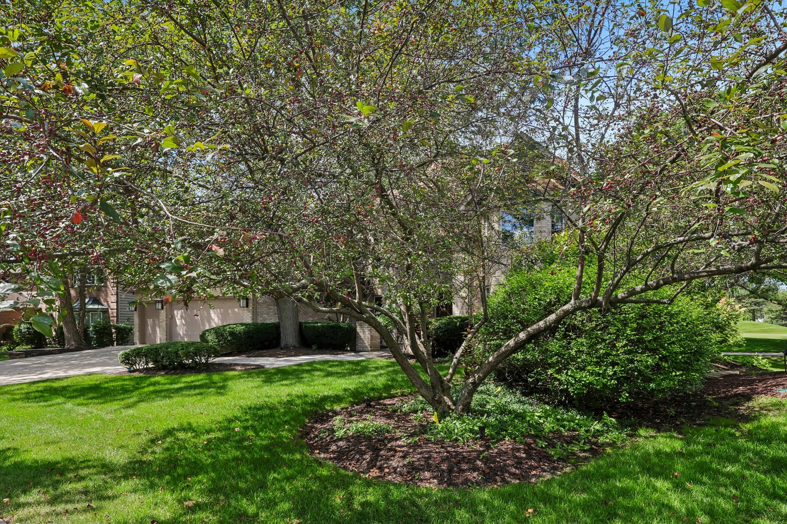 1504 Greenlake Drive Property Photo 61