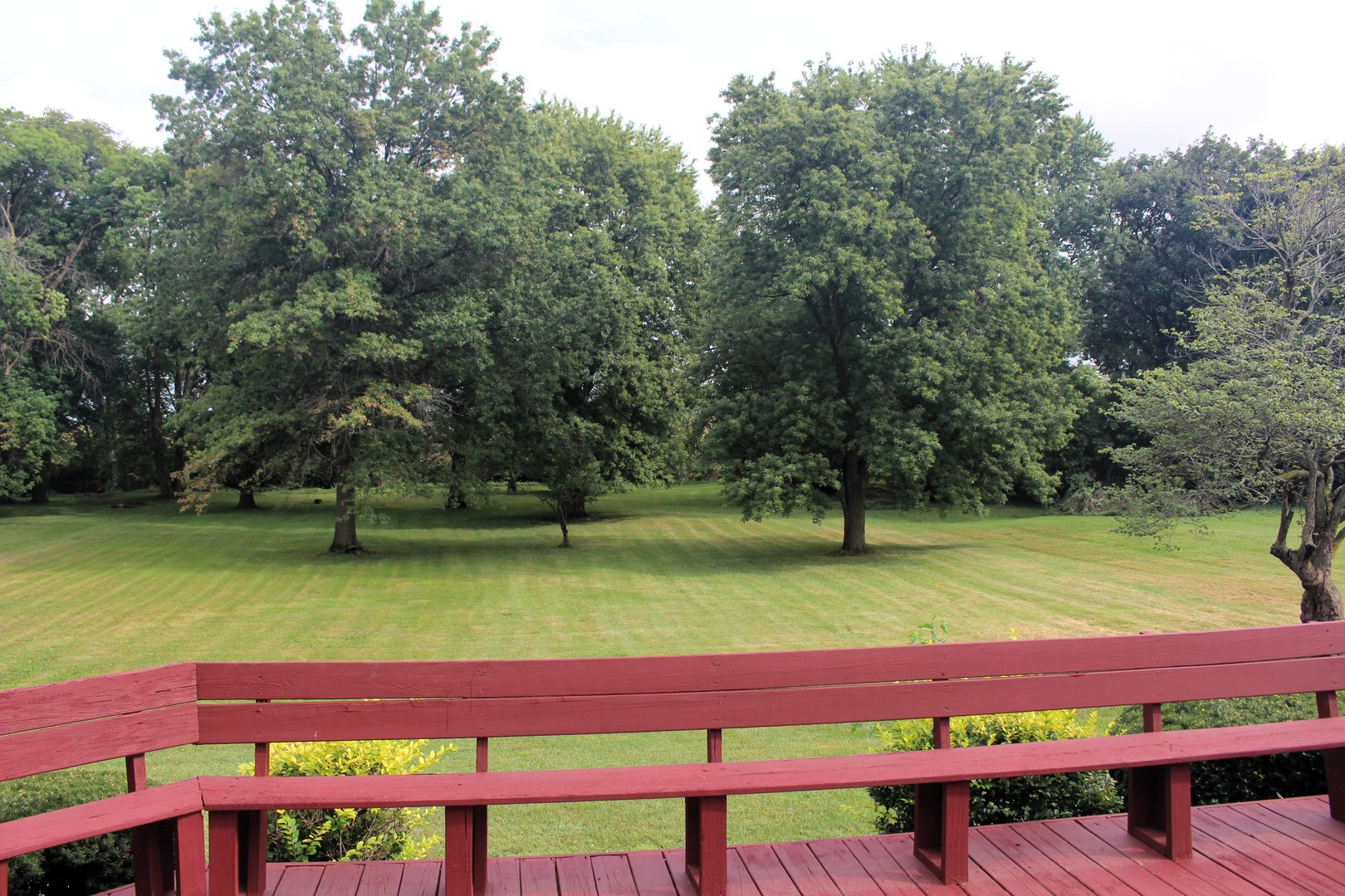 1119 E Clinton Avenue Property Photo 4