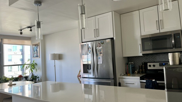 3550 N Lake Shore Drive 920 Property Photo 4