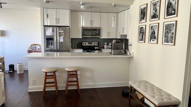 3550 N Lake Shore Drive 920 Property Photo 8