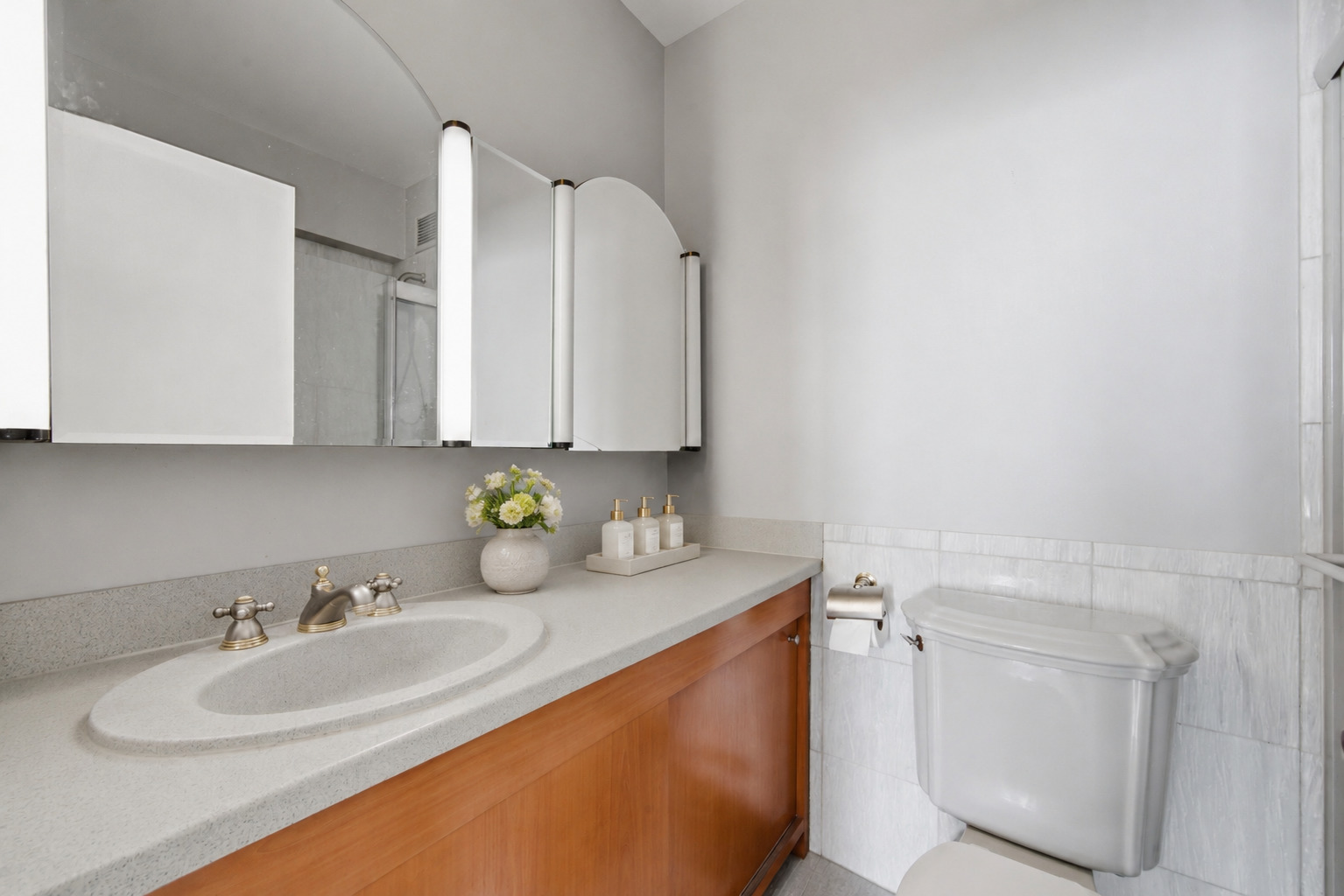 3200 N Lake Shore Drive 2102 Property Photo 15