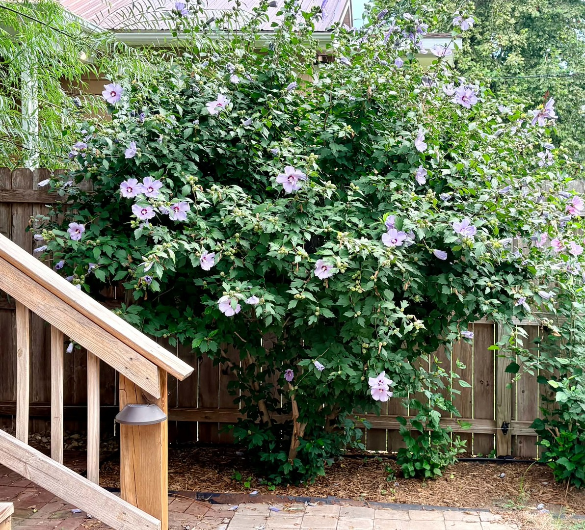 1454 Hampshire Street Property Photo 31