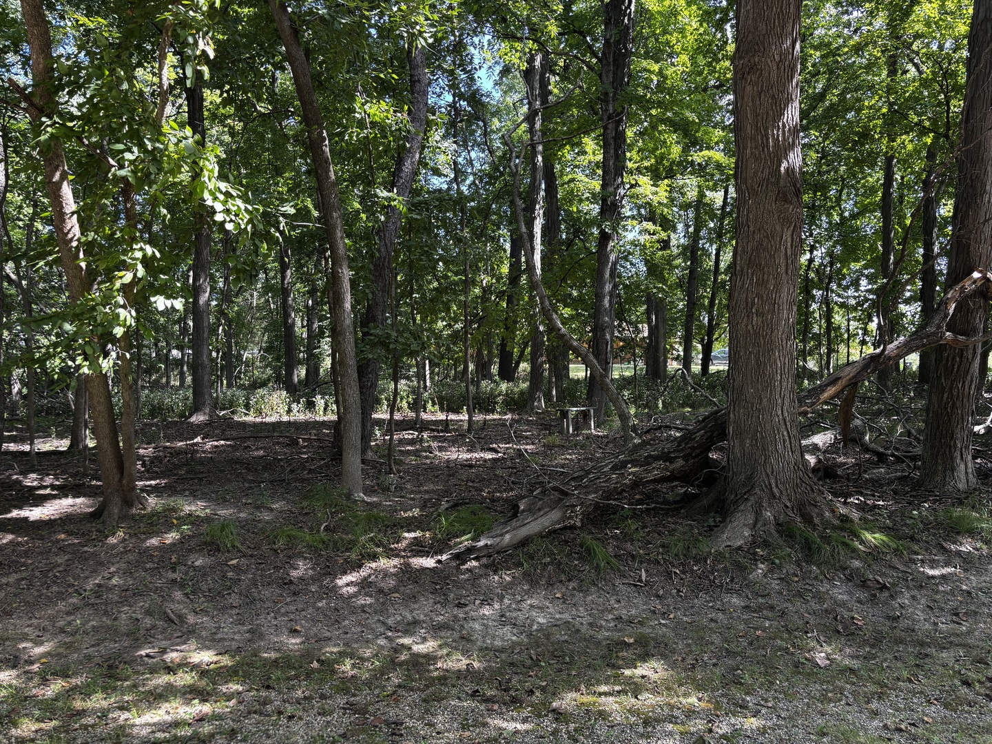 1102 Jay Court Property Photo 2