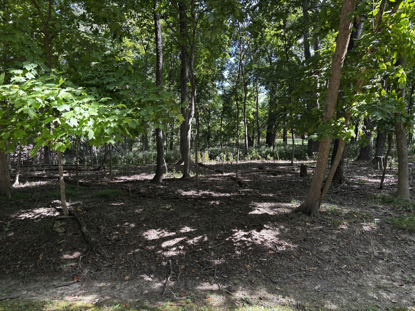 1102 Jay Court Property Photo 3
