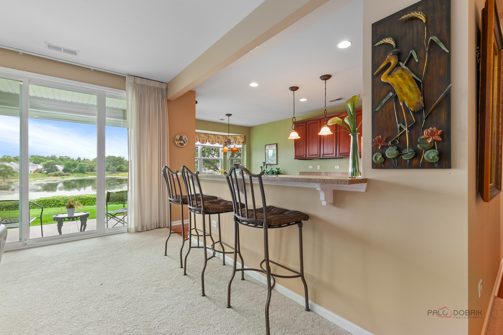 3572 Adler Court Property Photo 11
