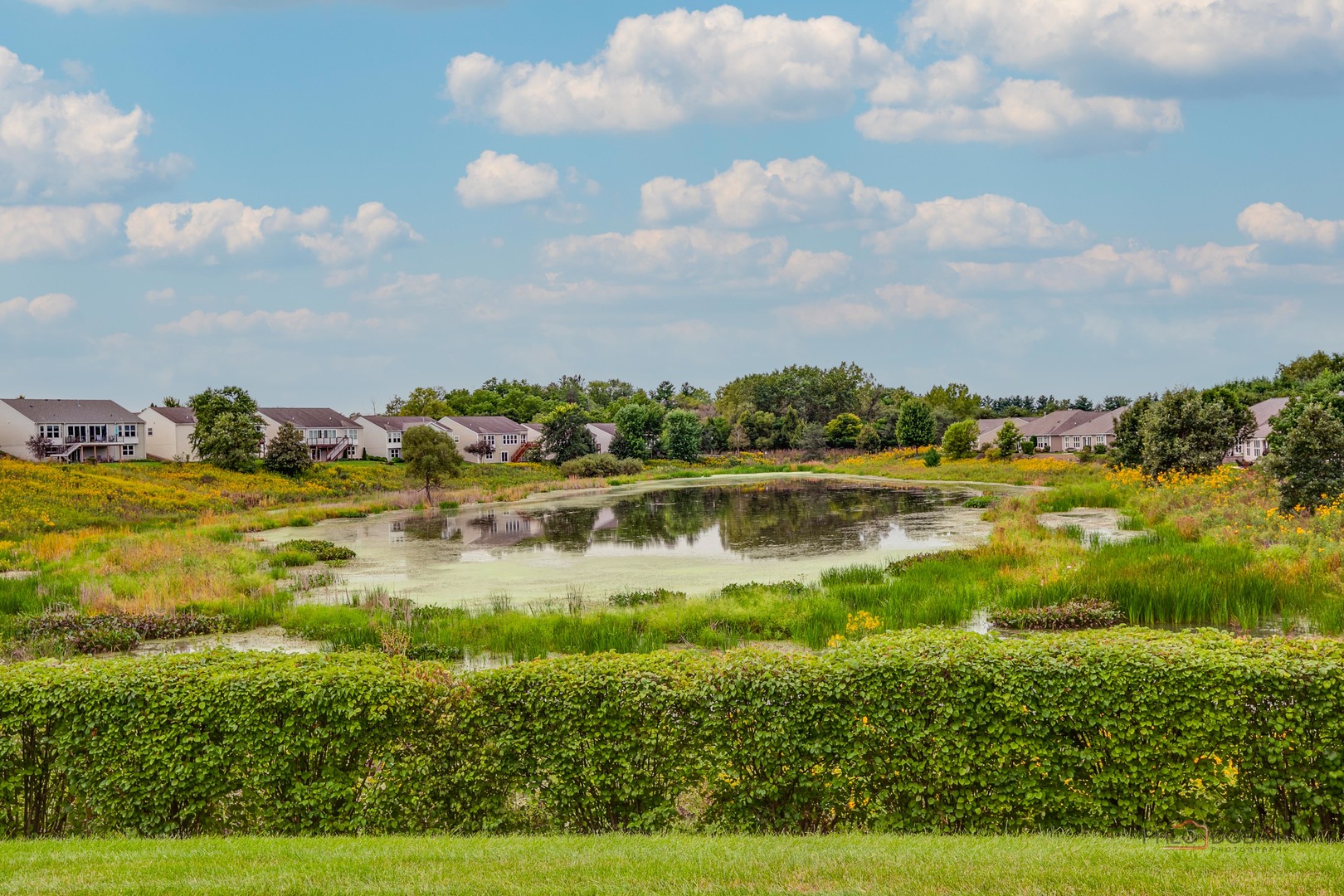 3572 Adler Court Property Photo 31