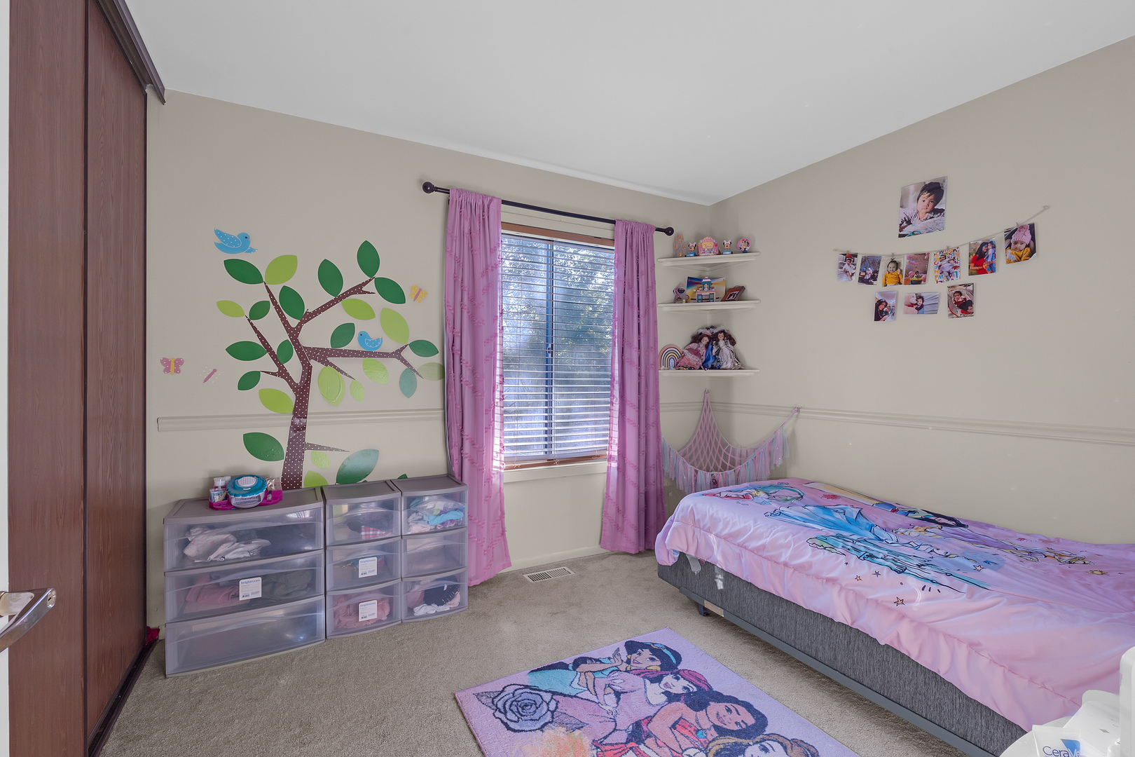 206 Albert Drive Property Photo 23