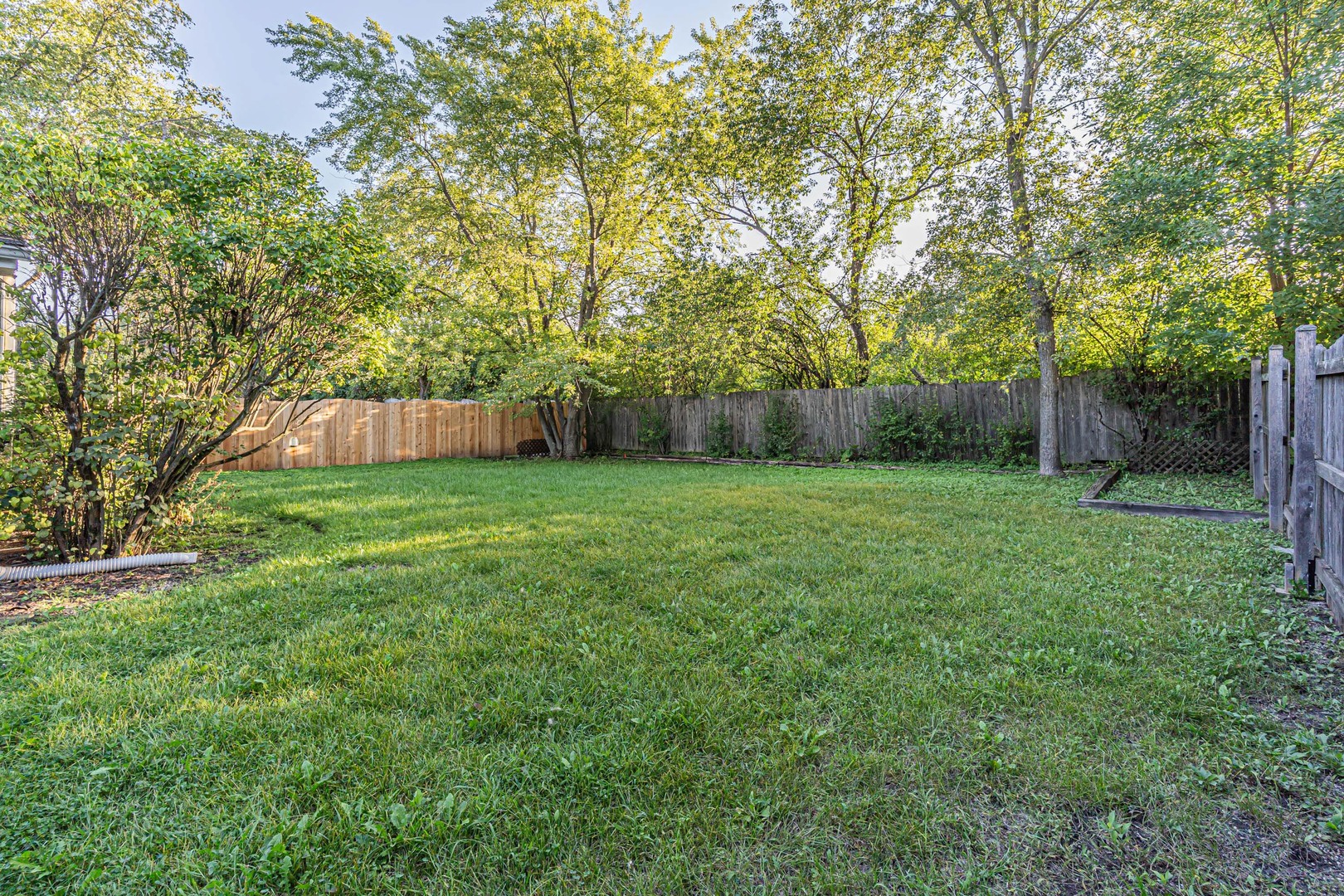 206 Albert Drive Property Photo 32