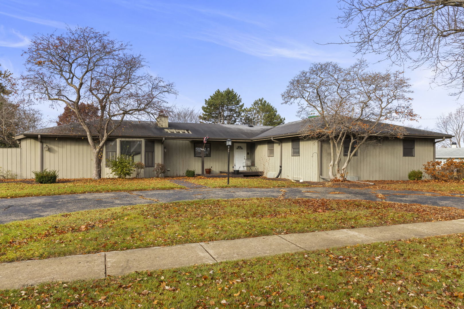 10501 Cindy Jo Avenue Property Photo 1