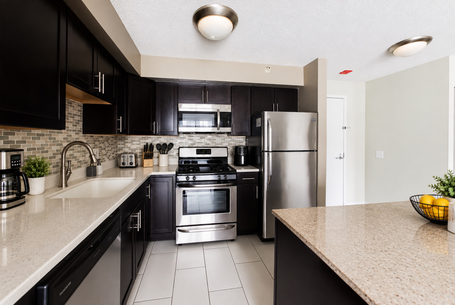 545 N Dearborn Street 2309 Property Photo 12