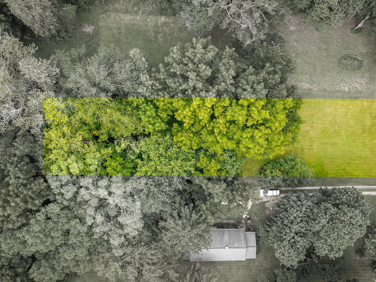 407 Lincoln Park Boulevard Property Photo 7