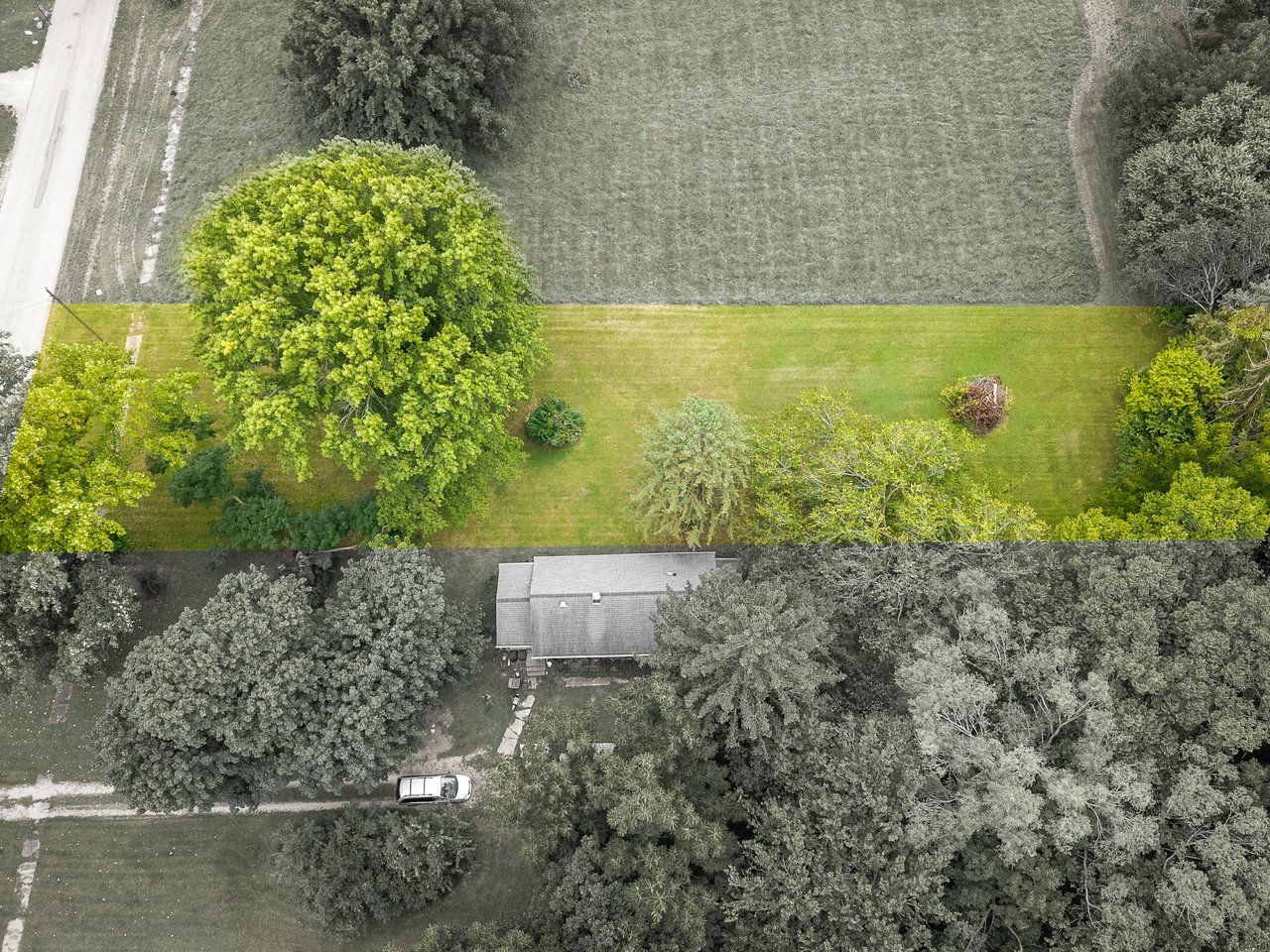 411 Lincoln Park Boulevard Property Photo 7