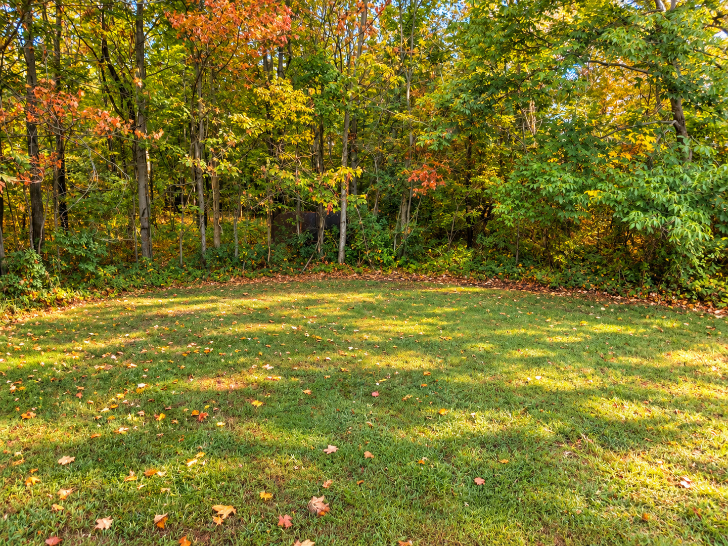 328 Ida Street Property Photo 53