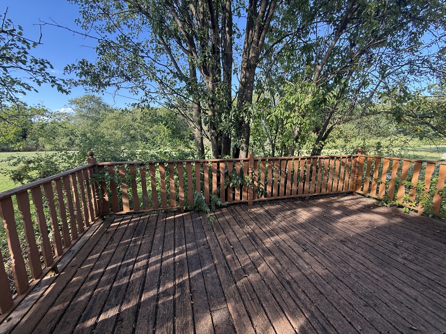 557 Huntsbridge Road Property Photo 19
