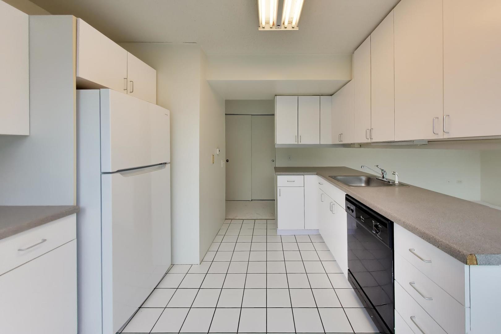 3115 S Michigan Avenue 307 Property Photo 11