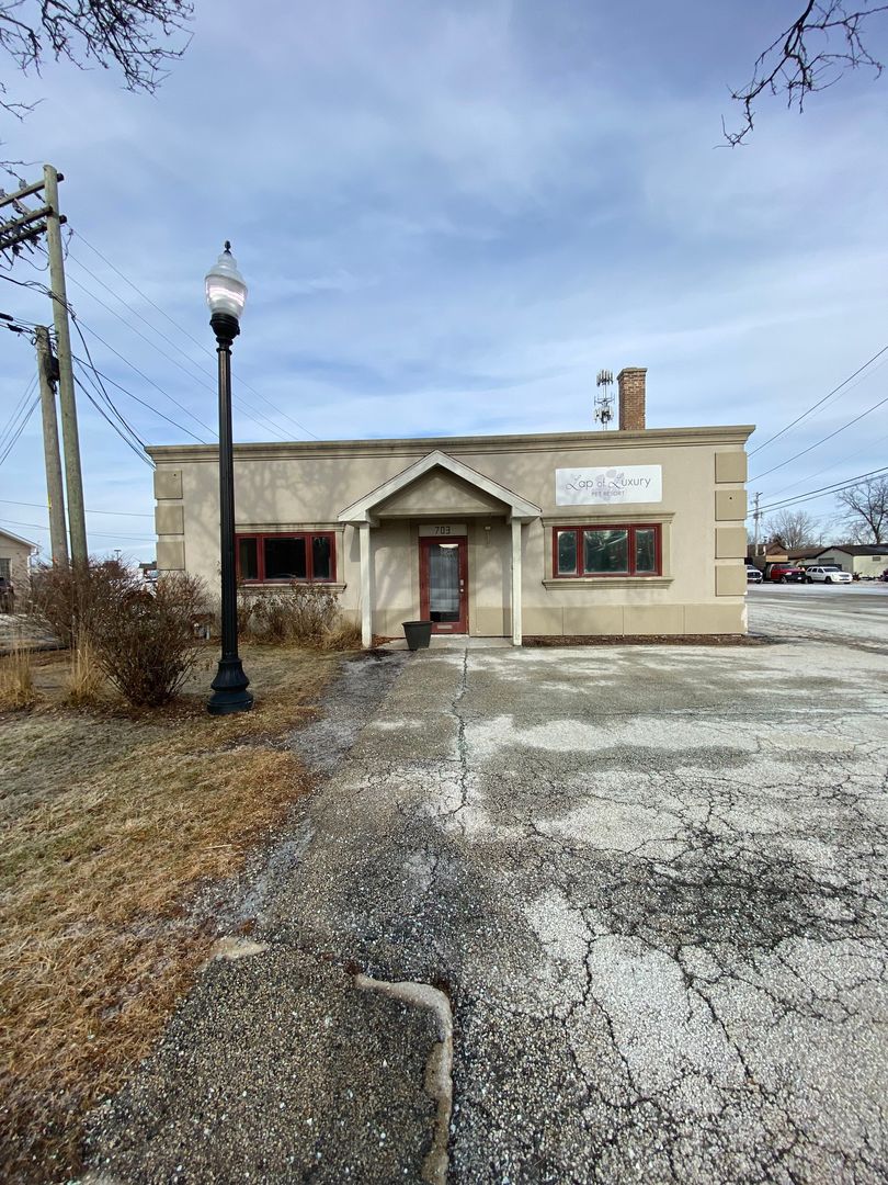 703 Childs Street Property Photo 1