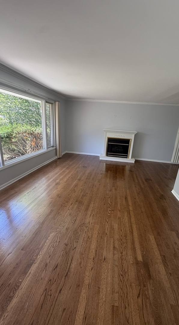 942 E 168th Street Property Photo 5