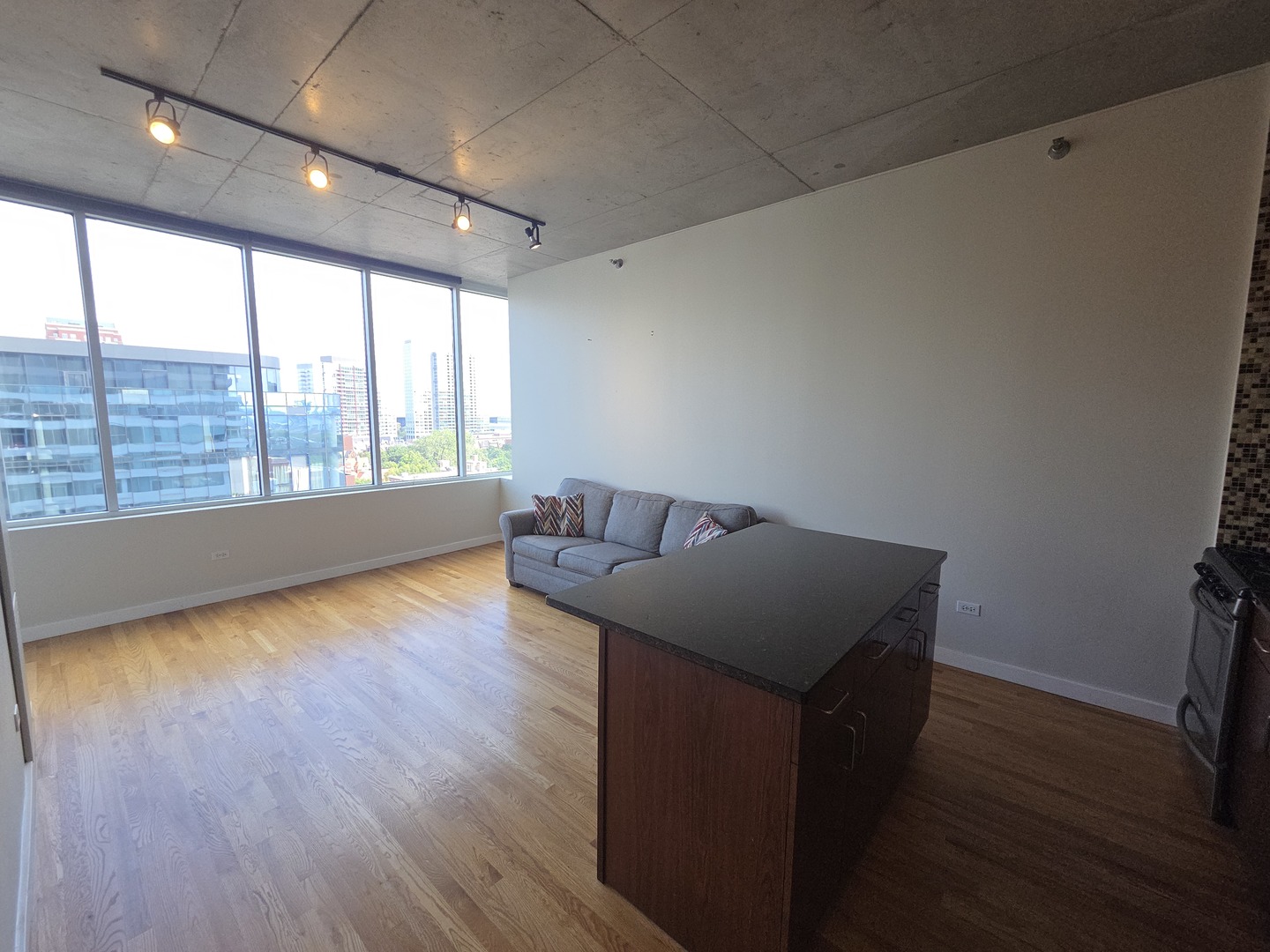 1720 S Michigan Avenue 1106 Property Photo 5