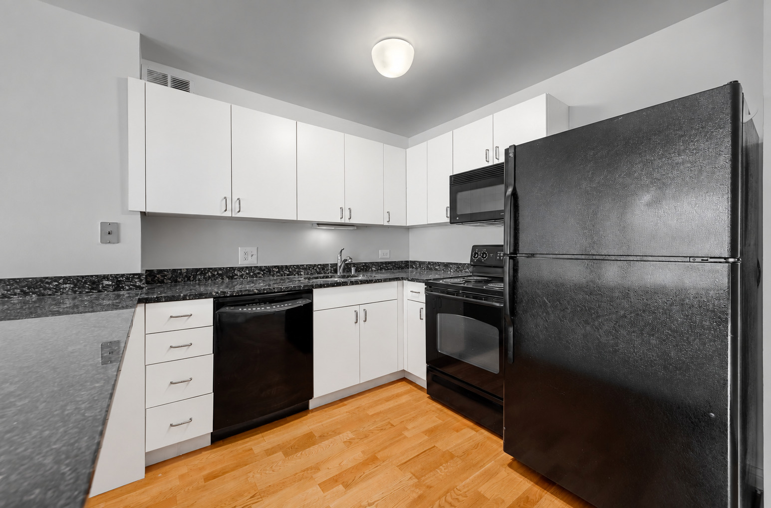 474 N Lake Shore Drive 2007 Property Photo 5